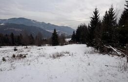 Teren intravilan 10746 mp, front 58 ml, localitatea Pojorata - Suceava