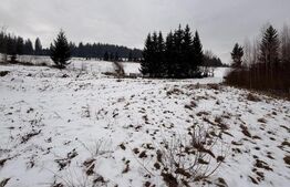 Teren intravilan 10746 mp, front 58 ml, localitatea Pojorata - Suceava