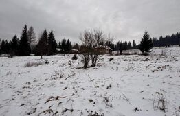 Teren intravilan 10746 mp, front 58 ml, localitatea Pojorata - Suceava