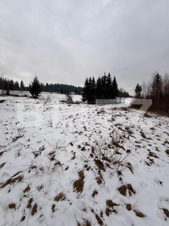 Teren de vânzare Exterior Vest - 188823TV | BLITZ Suceava | Poza6