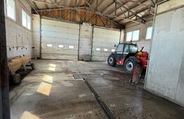 De vanzare Hala in Falticeni 200 mp, cu oportunitati multiple