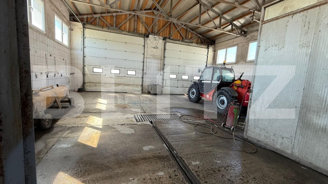 Spațiu industrial de vânzare Sud - 188888SVI | BLITZ Suceava | Poza5