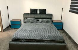 Locuinta si Hala/Spatiu Comercial in Falticeni, 630 mp teren