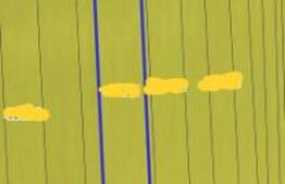 Teren de vânzare Horodnic - 186203TV | BLITZ Suceava | Poza3