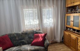 Apartament de vanzare, 2 camere, 50 mp - Vatra Dornei, zona Unirii