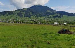 Ofertă de vânzare teren, URGENT, Dorna Candrenilor