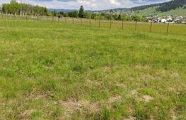 Ofertă de vânzare teren, URGENT, Dorna Candrenilor