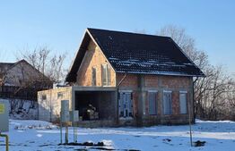 Doua case in Sfantu Ilie, 110 mp utili, garaj, acces privat