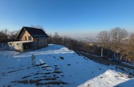 Doua case in Sfantu Ilie, 110 mp utili, garaj, acces privat