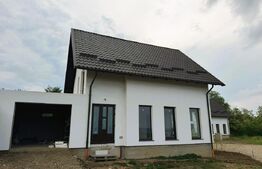 Doua case in Sfantu Ilie, 110 mp utili, garaj, acces privat