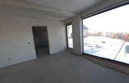 Doua case in Sfantu Ilie, 110 mp utili, garaj, acces privat