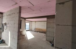 Casa individuala pe parter, Danila, 1300 mp teren, 4 camere