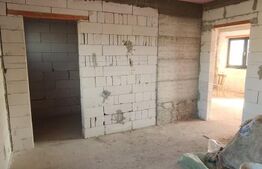 Casa individuala pe parter, Danila, 1300 mp teren, 4 camere
