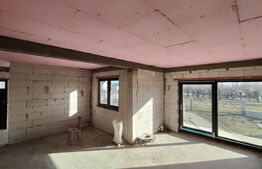 Casa individuala pe parter, Danila, 1300 mp teren, 4 camere