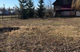 Casa batraneasca , teren 1100mp ,  centru Horodnic de Jos