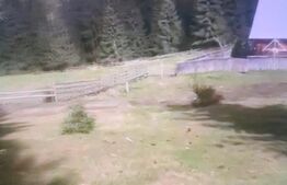 Teren extravilan în comuna Panaci, 15000 mp, oportuintate unica de investitie