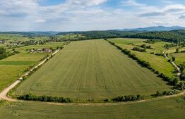 INVESTIȚIE! Teren extravilan, 52400 mp, front 130 ml, zona Mitocul Dragomirnei