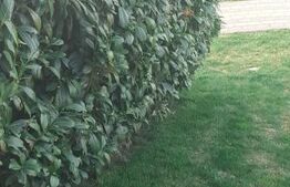 Casa/Vila 236 mp utili, 2743 mp teren, zona Mereni - Salcea