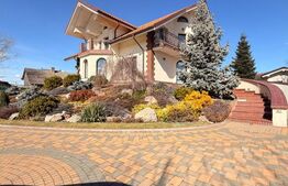 Casa/Vila 236 mp utili, 2743 mp teren, zona Mereni - Salcea