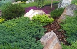 Casa/Vila 236 mp utili, 2743 mp teren, zona Mereni - Salcea