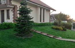 Casa/Vila 236 mp utili, 2743 mp teren, zona Mereni - Salcea