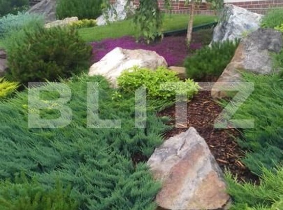 Casa de vânzare 5 camere Periferie - 189738CV | BLITZ Suceava | Poza8