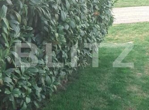 Casa de vânzare 5 camere Periferie - 189738CV | BLITZ Suceava | Poza15