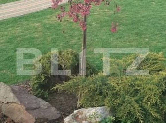 Casa de vânzare 5 camere Periferie - 189738CV | BLITZ Suceava | Poza13