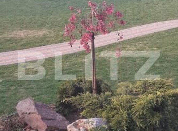 Casa de vânzare 5 camere Periferie - 189738CV | BLITZ Suceava | Poza16