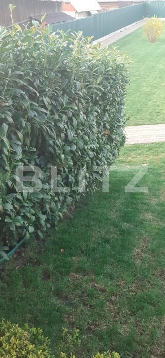 Casa de vânzare 5 camere Periferie - 189738CV | BLITZ Suceava | Poza15