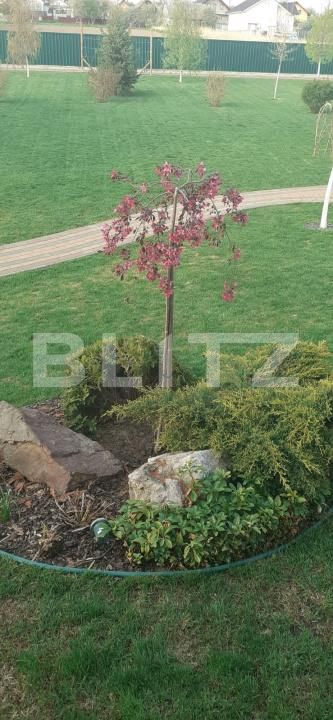 Casa de vânzare 5 camere Periferie - 189738CV | BLITZ Suceava | Poza13