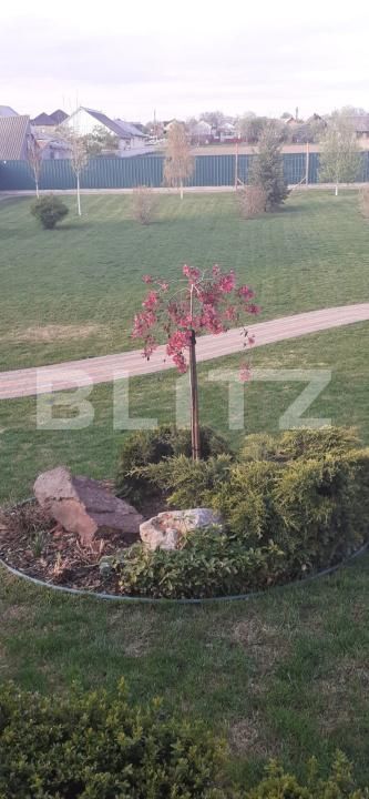 Casa de vânzare 5 camere Periferie - 189738CV | BLITZ Suceava | Poza16