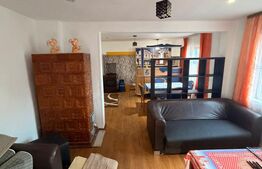 Casa multifunctioanala  100 mp utili, 2000 mp teren, Sadova - Bucovina 