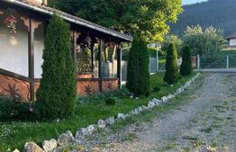 Casa multifunctioanala  100 mp utili, 2000 mp teren, Sadova - Bucovina 