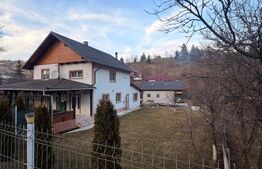 Casa multifunctioanala  100 mp utili, 2000 mp teren, Sadova - Bucovina 