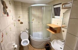 Casa multifunctioanala  100 mp utili, 2000 mp teren, Sadova - Bucovina 