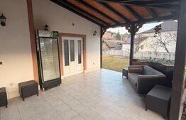 Casa multifunctioanala  100 mp utili, 2000 mp teren, Sadova - Bucovina 