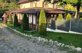 Casa multifunctioanala  100 mp utili, 2000 mp teren, Sadova - Bucovina 