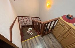 Casa multifunctioanala  100 mp utili, 2000 mp teren, Sadova - Bucovina 