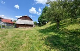 Casa de 120 mp si 1ha teren in Doroteia, Suceava