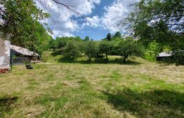 Casa de 120 mp si 1ha teren in Doroteia, Suceava