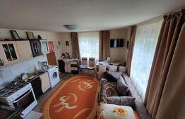 Casa de 120 mp si 1ha teren in Doroteia, Suceava