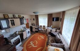 Casa de 120 mp si 1ha teren in Doroteia, Suceava