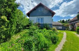 Casa de 120 mp si 1ha teren in Doroteia, Suceava