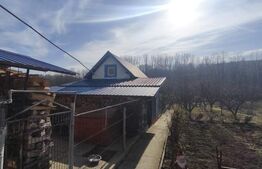 Casa multifunctionala, 420mp, 2300mp teren, Siret