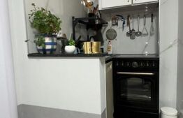 Garsoniera, 22 mp, etaj intermediar, cartier Burdujeni