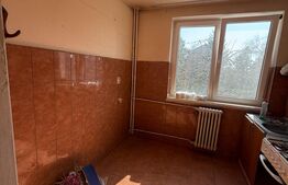 Apartament cu 3 camere, etaj intermediar, zona Tribunal