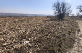 Teren 6500mp, 40ml deschidere la E85, Granicesti, Suceava