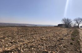 Teren 6500mp, 40ml deschidere la E85, Granicesti, Suceava