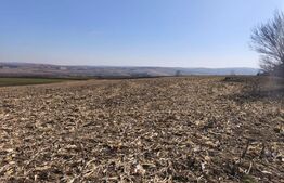 Teren 6500mp, 40ml deschidere la E85, Granicesti, Suceava